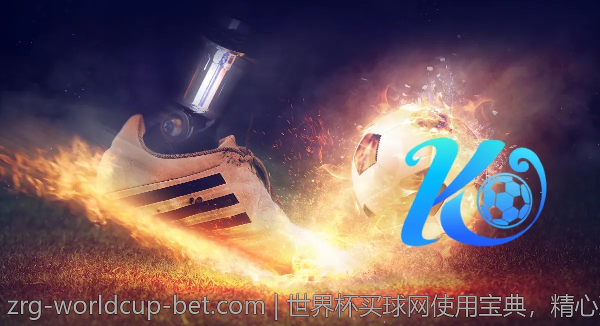 世界杯买球网使用宝典，精心准备的干货