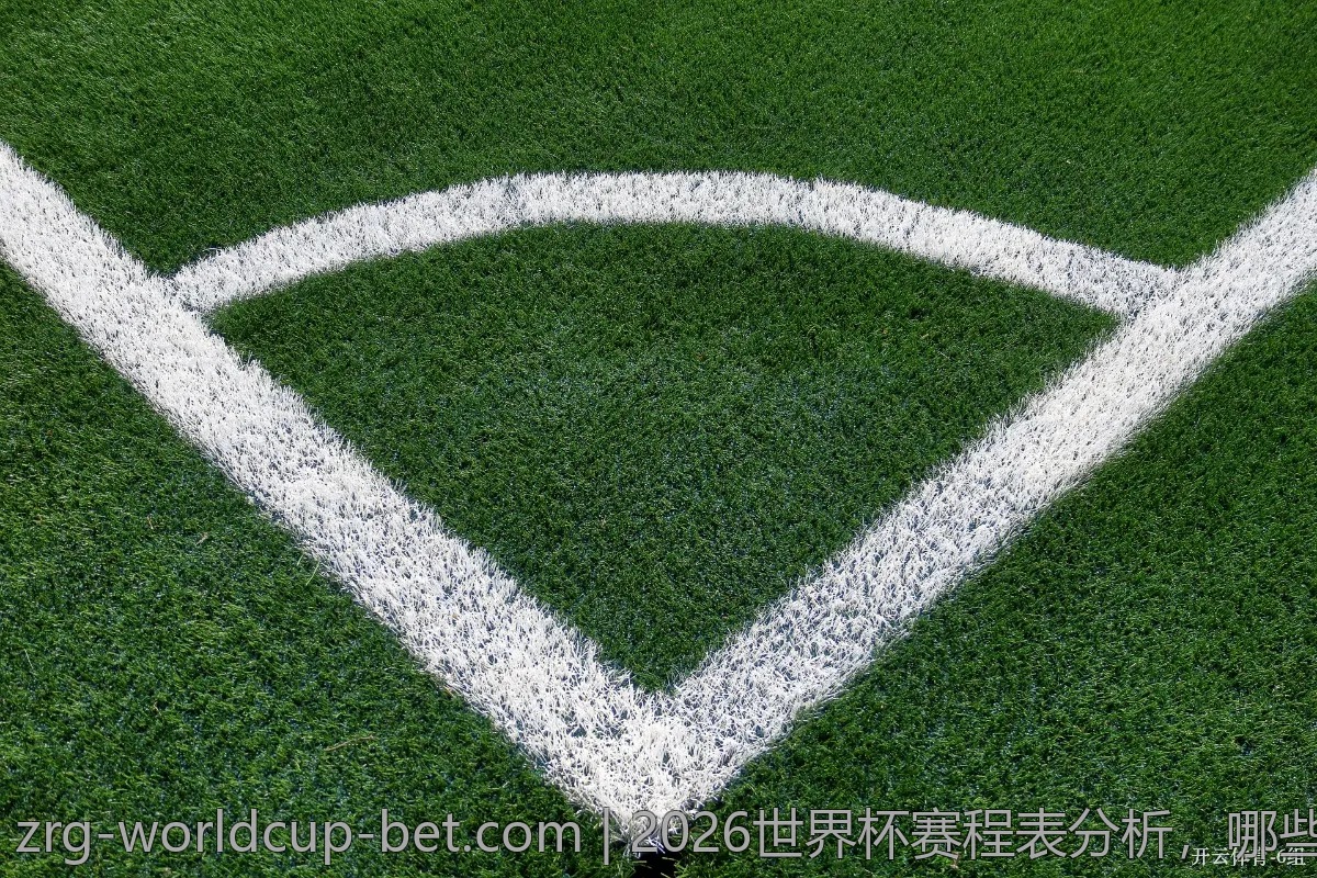 2026世界杯赛程表分析，哪些球队将脱颖而出？