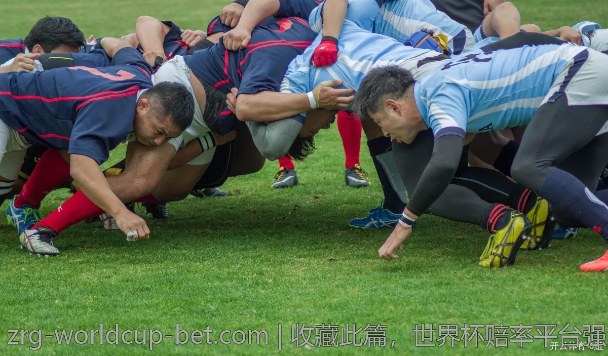 收藏此篇，世界杯赔率平台强烈推荐！