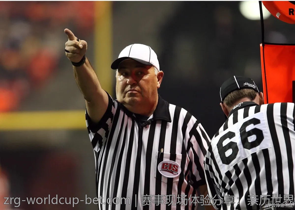 赛事现场体验分享：亲历世界杯的热血瞬间