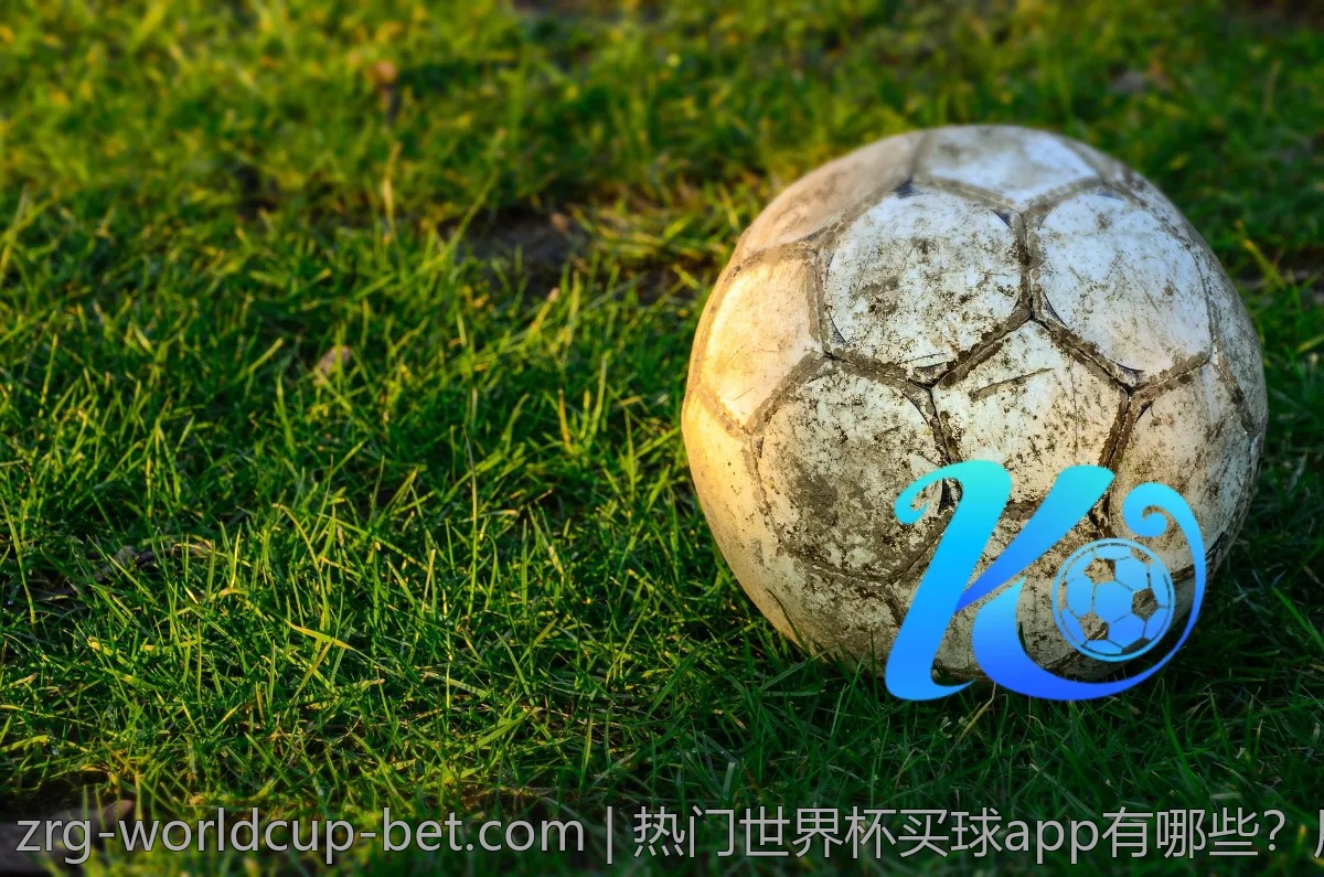 热门世界杯买球app有哪些？用户反响如何？