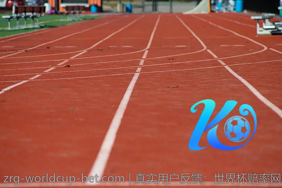真实用户反馈：世界杯赔率网站使用体验分享