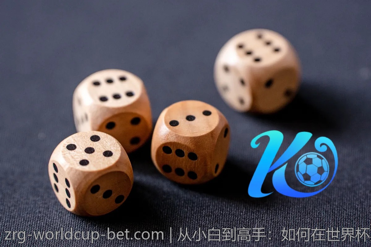 从小白到高手：如何在世界杯期间掌握球赛分析？